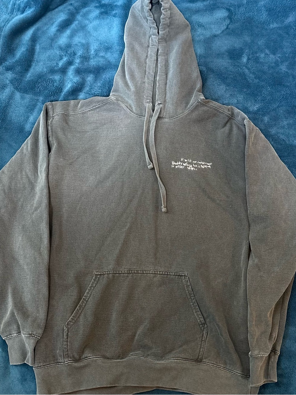 Comfort Colors Gray Hoodie Adult Large Funny Embroidered Pullover Sweatshirt